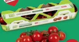 PENNY Echt Bio Kirschtomaten Angebot