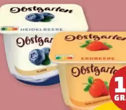 PENNY Danone Obstgarten Angebot