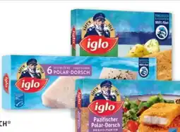PENNY Iglo Polardorsch Angebot