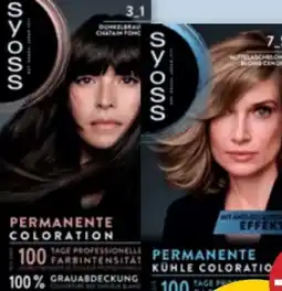 PENNY Syoss Coloration Angebot