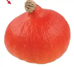 Transgourmet Hokkaidokürbis Angebot