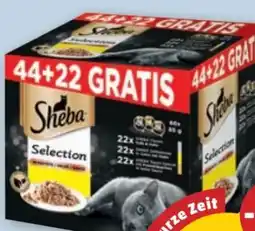 PENNY Sheba Schalen Angebot