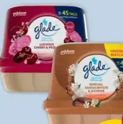 PENNY Glade by Brise Duftgel Angebot