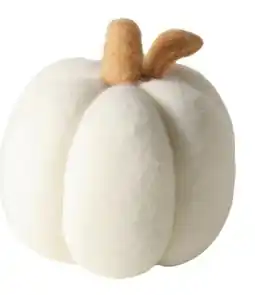Transgourmet Aufsteller Tikva Kürbis Angebot