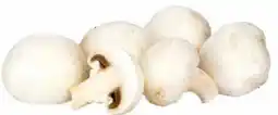 Transgourmet Champignons Angebot