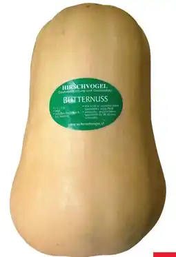 Transgourmet Butternusskürbis Angebot