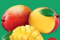 PENNY Mango Angebot