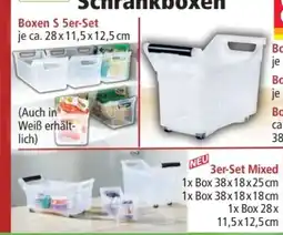 Norma Toptex Innovative Regalbox Angebot