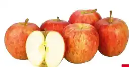 Transgourmet Äpfel Gala Angebot