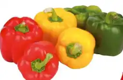 Transgourmet Paprika Mix Angebot