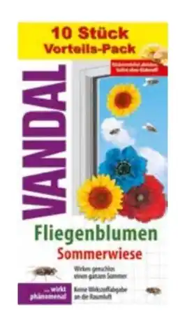 Transgourmet Vandal Fliegenblumen Sommerwiese Angebot