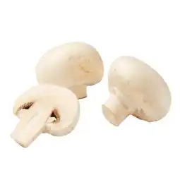 Lidl Champignons weiß Lidl APP Preis Angebot