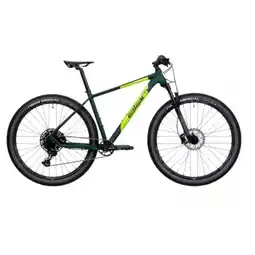 Hervis MOUNTAINBIKE RAMBLER 29 GRÜN HERVIS APP Preis Angebot