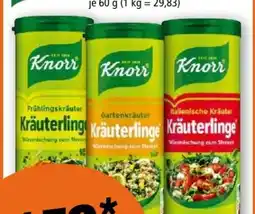 Norma Knorr Kräuterlinge Angebot