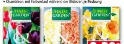 Norma Finest Garden Farbsensation Angebot