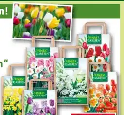 Norma Finest Garden Farbkollektion Angebot