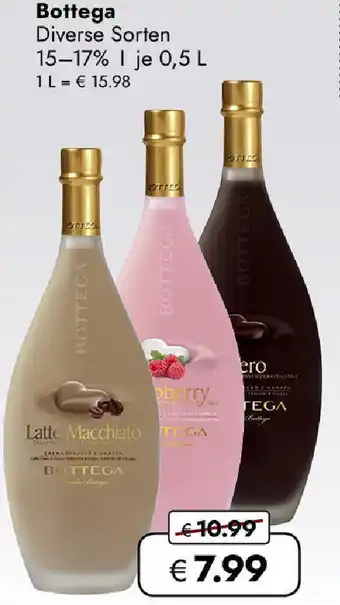 Travel FREE Bottega Angebot