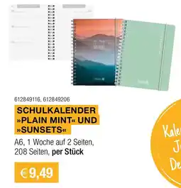 Skribo Schulkalender plain mint und sunsets Angebot