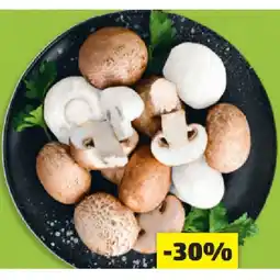 Hofer Champignons weiß, braun oder Grillchampignons HOFER Angebot