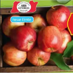 Hofer Bio-Äpfel in Der Tasse aus Österreich HOFER Angebot