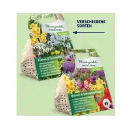 Hofer Bienen- und Schmetterlingsfreundliche Blumenzwiebeln versch. Sorten HOFER Angebot