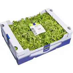 Metro Rucola lose, Preisangabe ohne MwSt. (Preis inkl. MwSt. 7,69 €), METRO Angebot