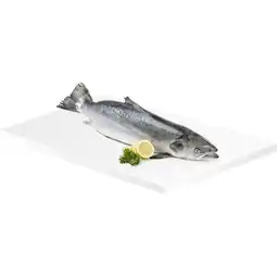 Metro Lachs, Preisangabe ohne MwSt. (Preis inkl. MwSt. 8,24 €), METRO Angebot