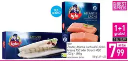 Sutterlüty Iglo Zander, Atlantik Lachs ASC, Gold- brasse ASC oder Dorsch MSC Angebot