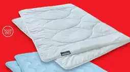 Matratzen Concord Steppbett Cool Vibes Angebot
