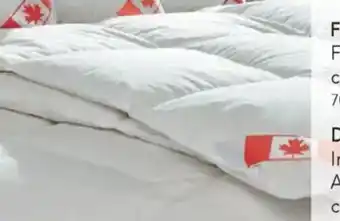 Matratzen Concord Dauneneinziehdecke Angebot