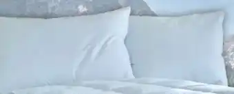 Matratzen Concord Dreikammerpolster Angebot