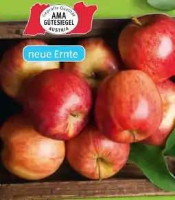 Hofer Zurück zum Ursprung Äpfel Angebot