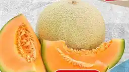 Spar Spar Cantaloupe Melone Angebot