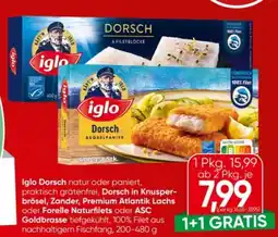Spar Iglo Dorsch Angebot