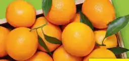 Hofer Hofer Marktplatz Bio-Orangen Angebot