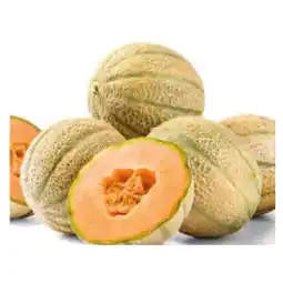 Spar süße-saftige Cantaloupe Melone SPAR Angebot