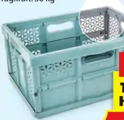 Hofer Home Creation Profi Klappbox Angebot