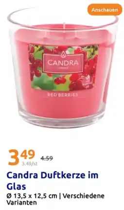 Action Candra Duftkerze im Glas Angebot