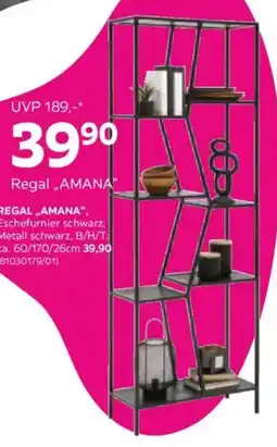Mömax Regal amana Angebot