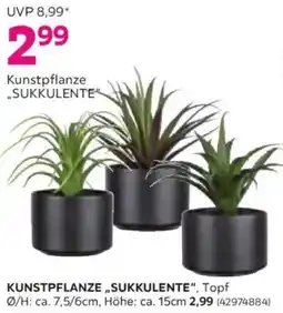 Mömax Kunstpflanze sukkulente Angebot