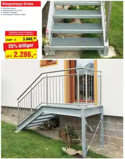 Josef Steiner Wangentreppe Stratos Angebot