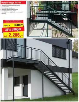 Josef Steiner Wangentreppe Stratos Angebot