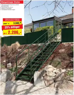 Josef Steiner Wangentreppe Stratos Angebot