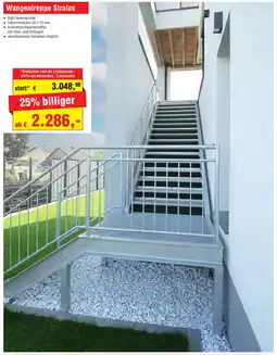 Josef Steiner Wangentreppe Stratos Angebot