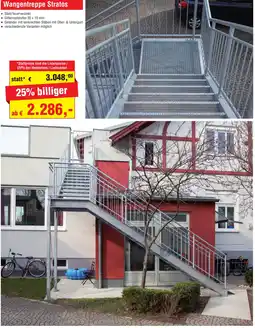 Josef Steiner Wangentreppe Stratos Angebot