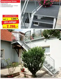 Josef Steiner Wangentreppe Stratos Angebot