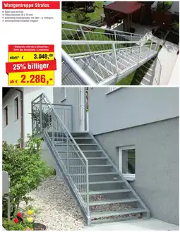 Josef Steiner Wangentreppe Stratos Angebot