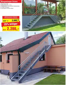 Josef Steiner Wangentreppe Stratos Angebot