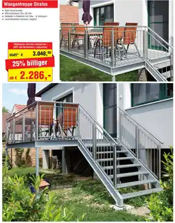 Josef Steiner Wangentreppe Stratos Angebot