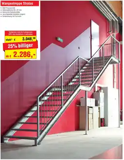 Josef Steiner Wangentreppe Stratos Angebot